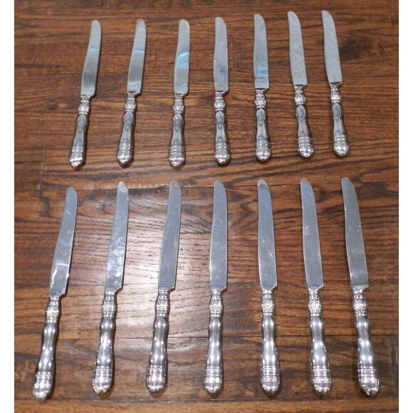 Southern Living Gallery Silverware Flatware 9 1/4" Knives Lot of 14 - Picture 1 of 2